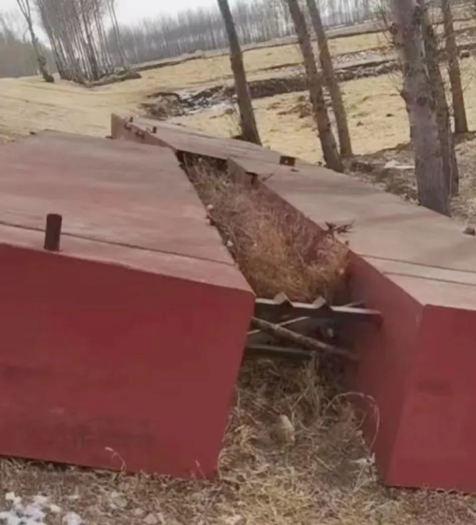 吉林洮南私搭浮桥最新情况,吉林洮南官方回应私搭浮桥被拆除