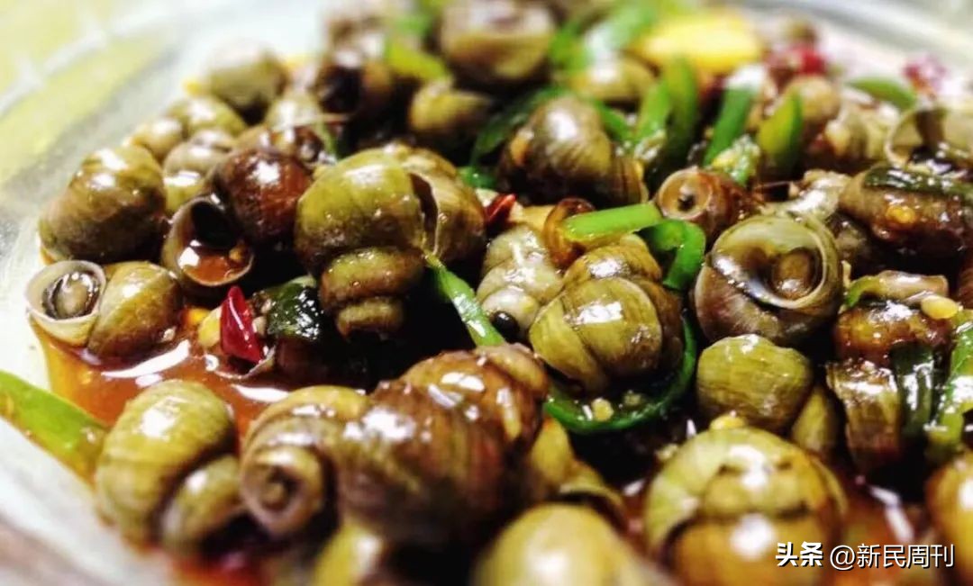 螺蛳在水里往深处爬还是浅处爬,螺蛳在水里不露头