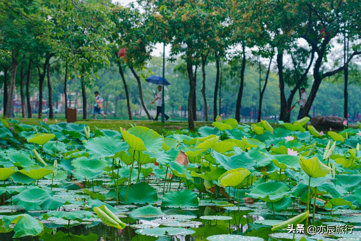 惠州市内有几个旅游景点,惠州附近有哪几个旅游景点