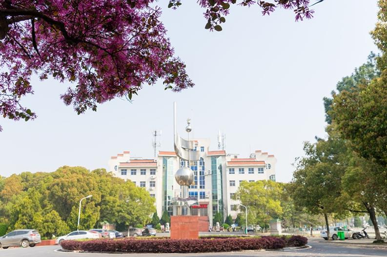 黄陂市新洲一中怎么样,武汉新洲一中与黄陂一中哪家强