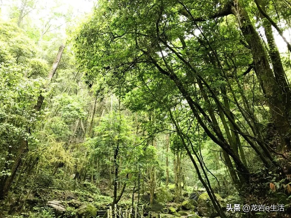 夏天龙岩哪里凉快适合避暑,龙岩新罗区有哪些避暑的好地方