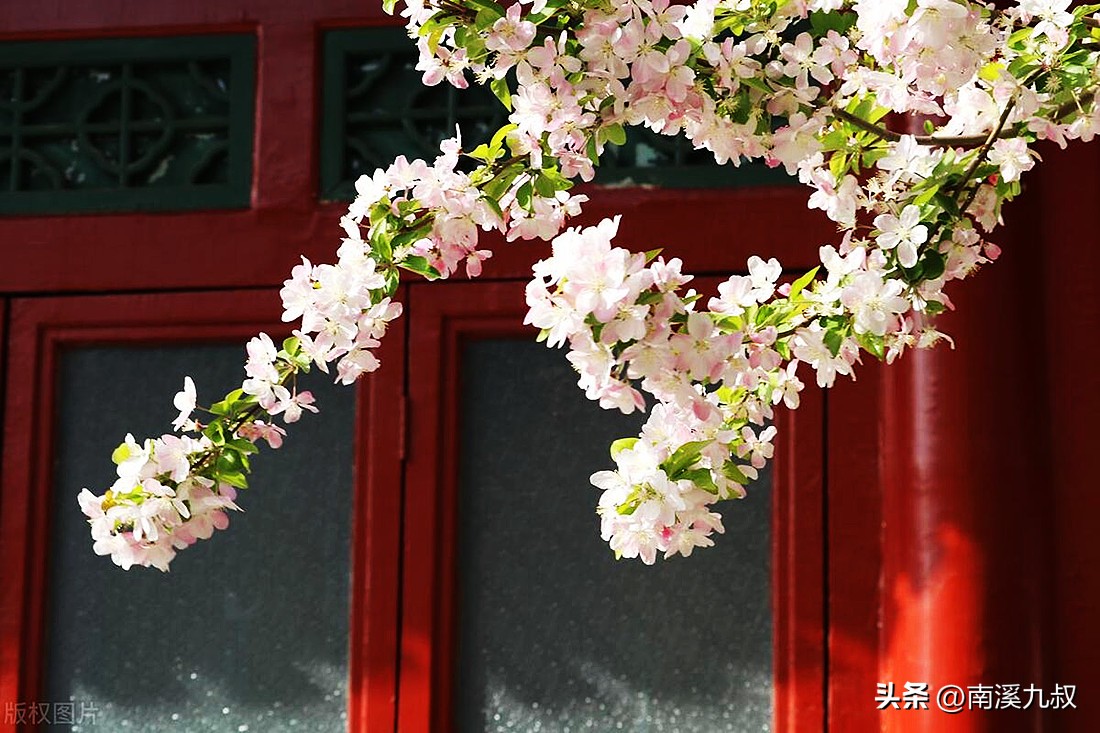 李清照致敬赵明诚,李清照写给赵明诚挽联