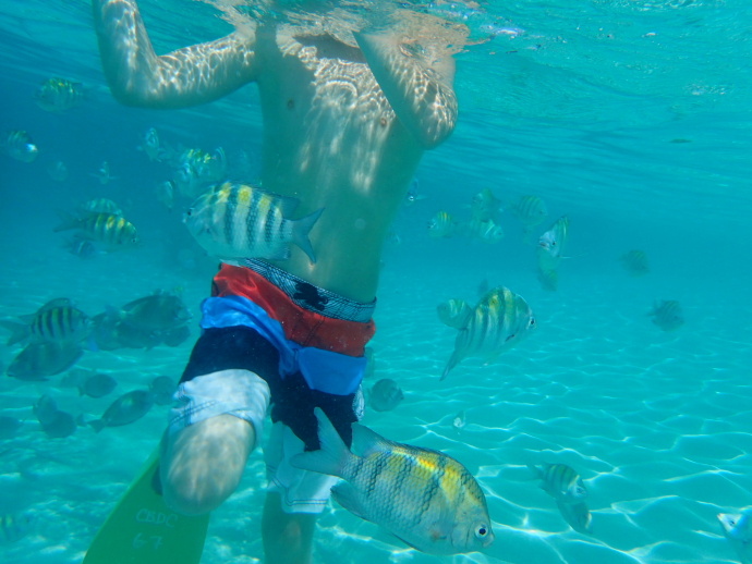 美维尔京群岛,美属维尔京群岛加勒比海