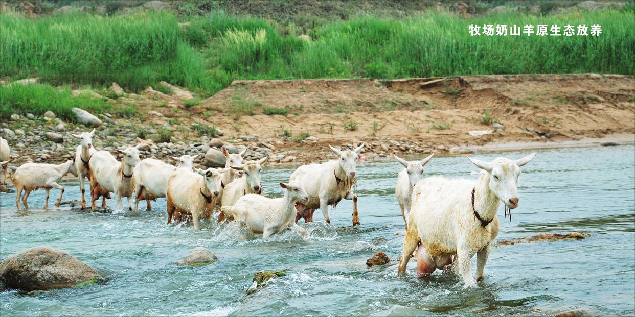 宝宝最好的羊奶粉推荐,佳贝艾特羊奶粉适合什么样的宝宝