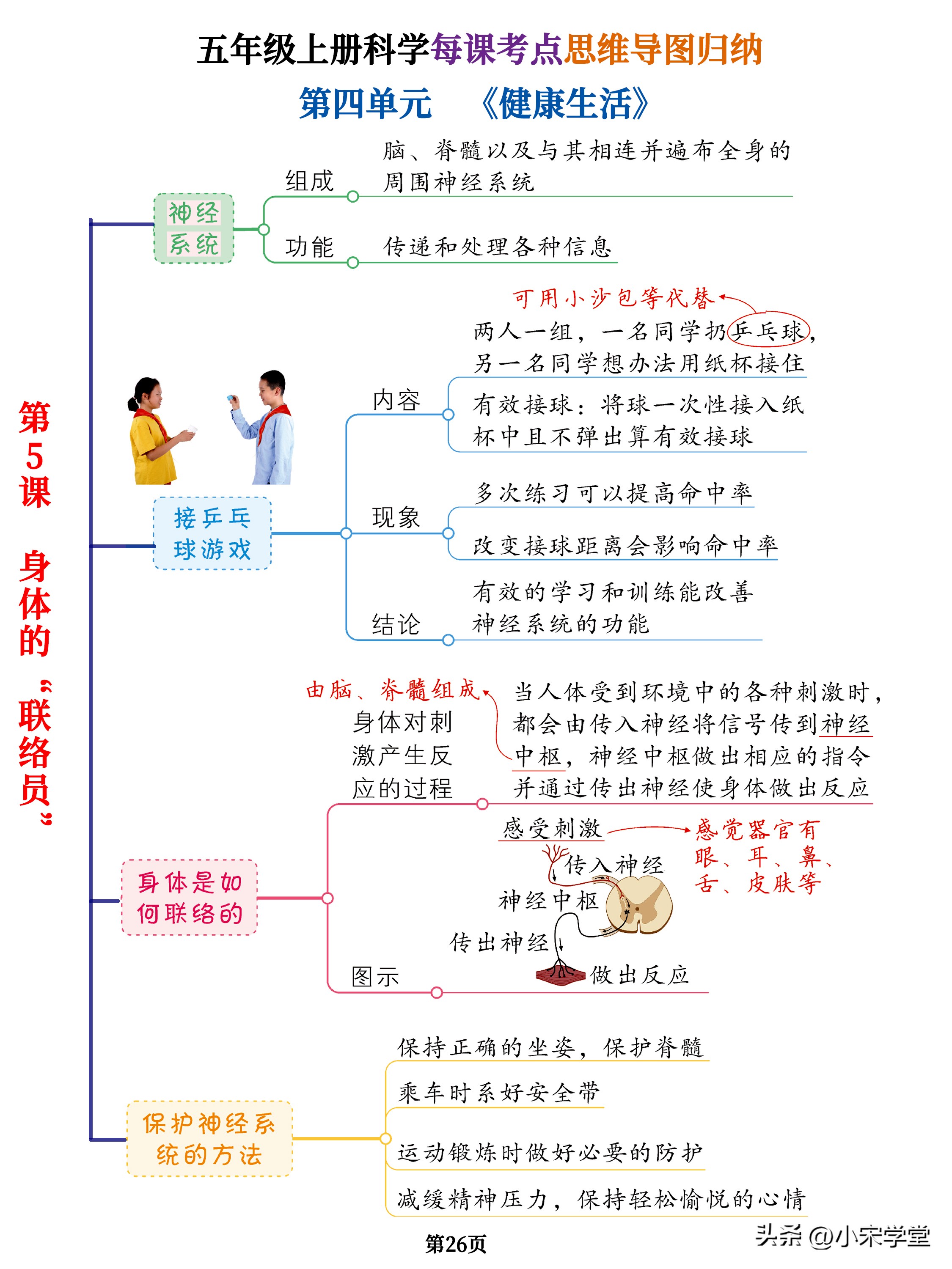 五年级上册全部科学思维导图简单,五年级上册科学思维导图大全集