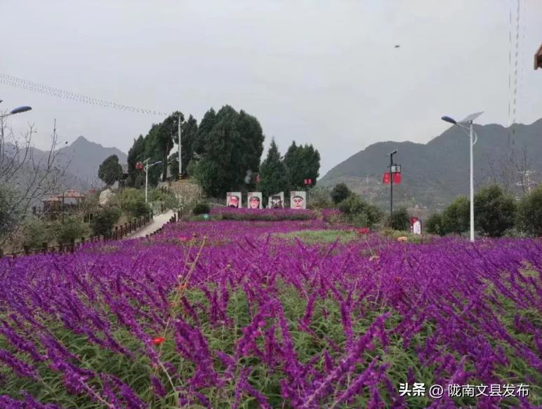 五一想去玩哪也没去,文县旅游一日游