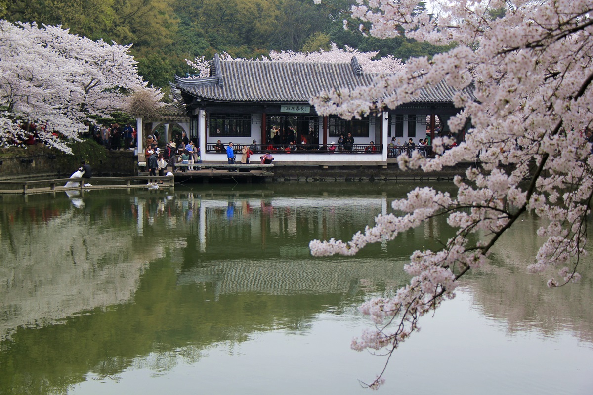 江苏的25个5a景区是哪些,江苏最值得去的几个旅游景点