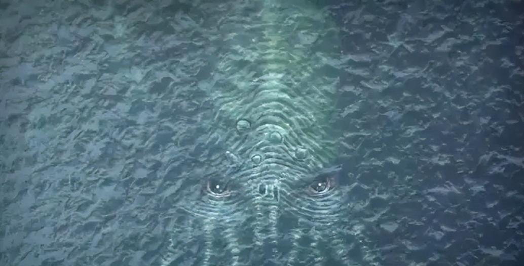 尼莫点未解之谜,尼莫点的奇怪现象