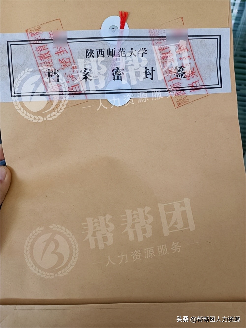 档案成为死档,档案成死档怎么激活