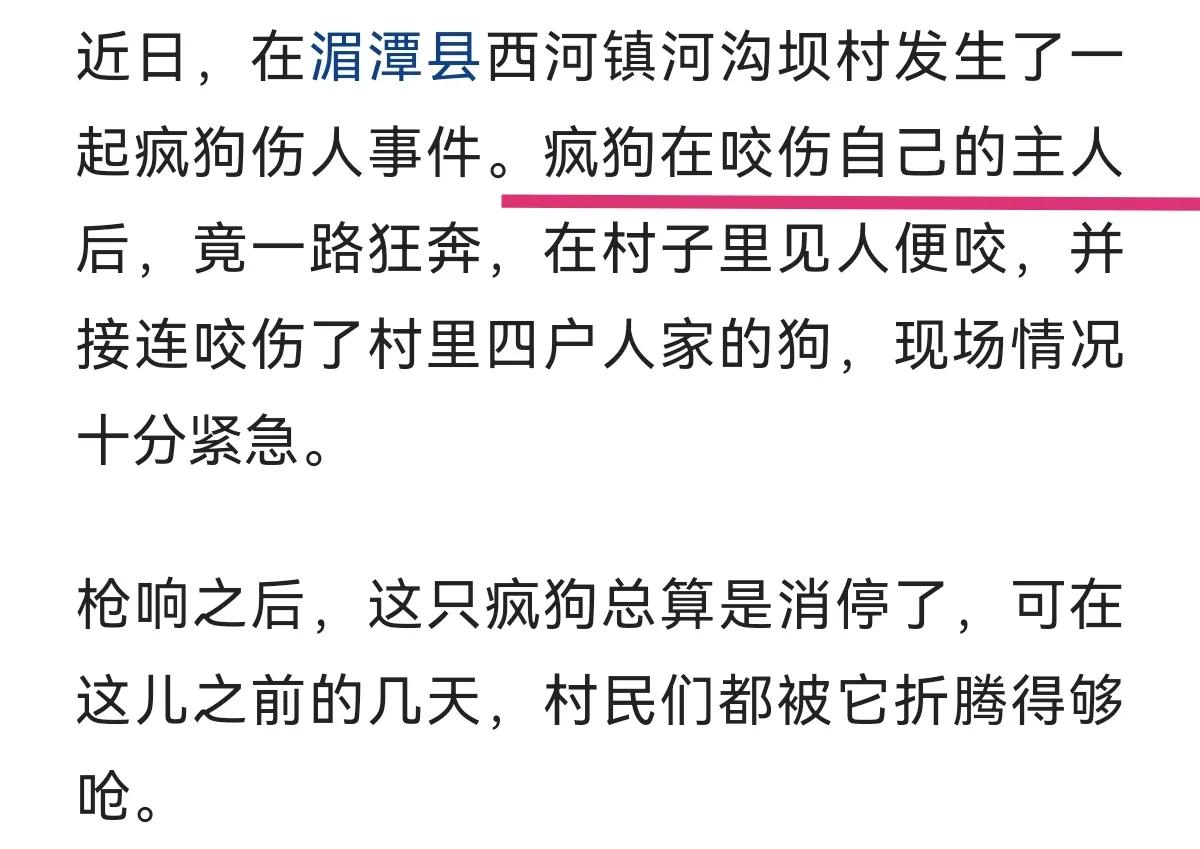 狗是人类的朋友,这是我听过的最冷的笑话