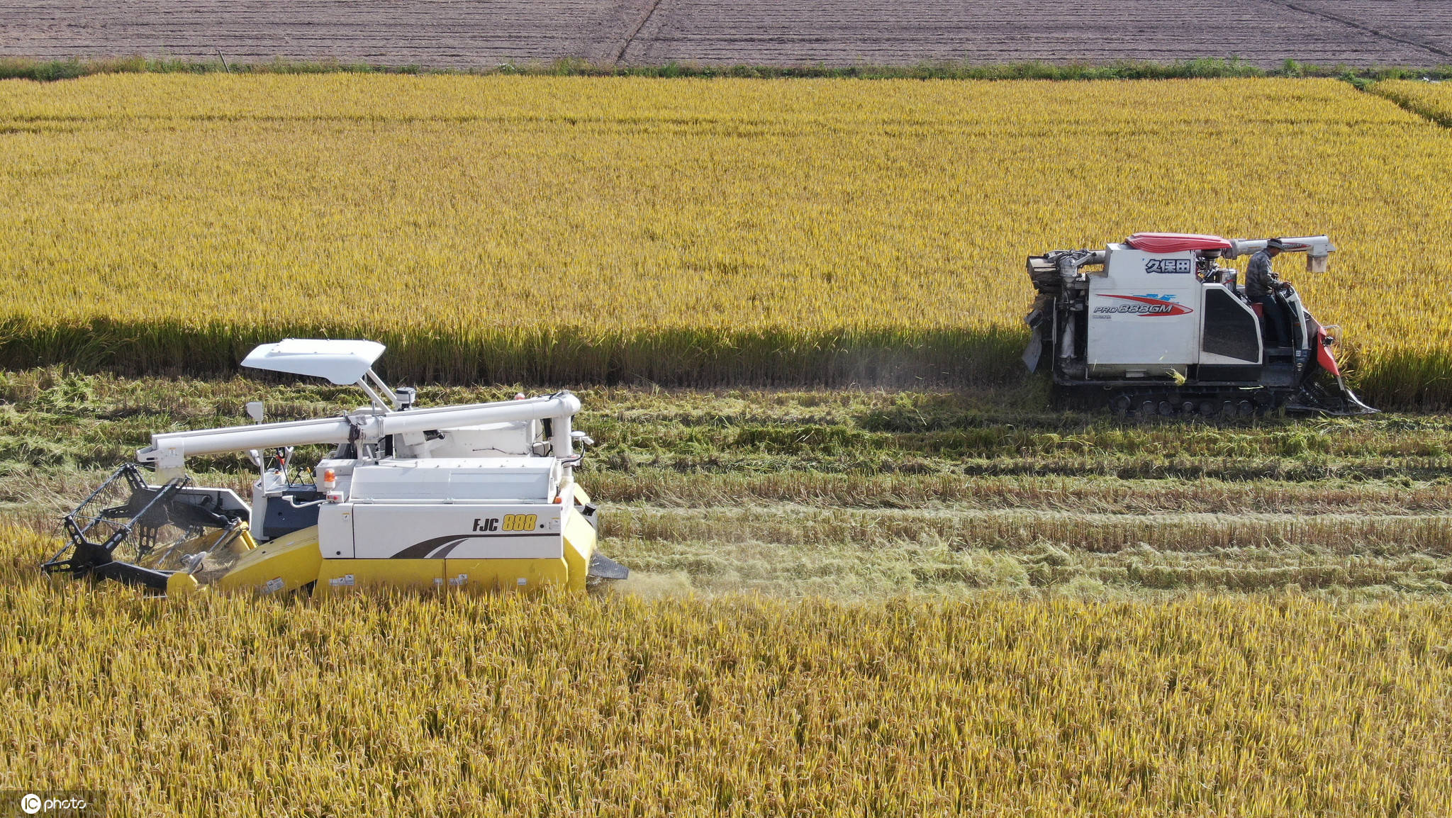武汉小哥1年花2580种菜，5G远程浇水施肥，手机摘菜4小时快递到家