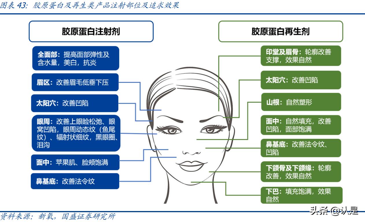医美产业报告,医美胶原蛋白市场有多大