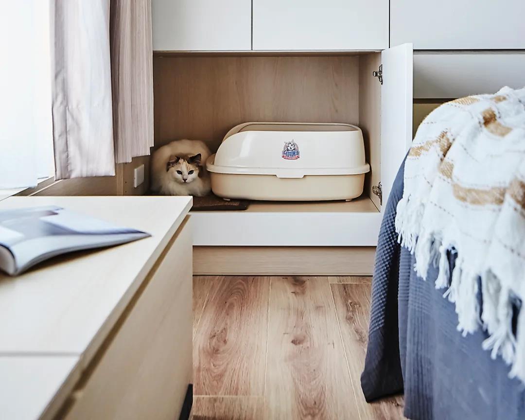 房间玻璃隔断最简单最实惠的方法,巧用玻璃做隔断让家放大一倍