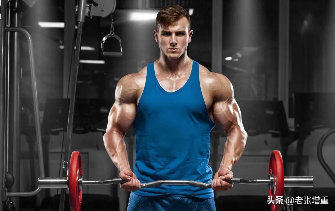 瘦子想增肌吃什么蛋白粉,瘦子容易吸收吃蛋白粉还是增肌粉