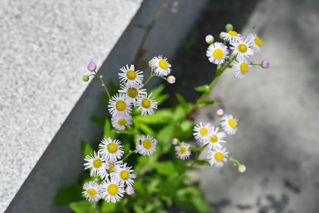 15年二手奔驰glk300值得买吗,14年二手奔驰glk300价格