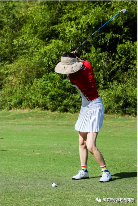 高尔夫球新规什么情况下可以动球,高尔夫球新规什么时候改的