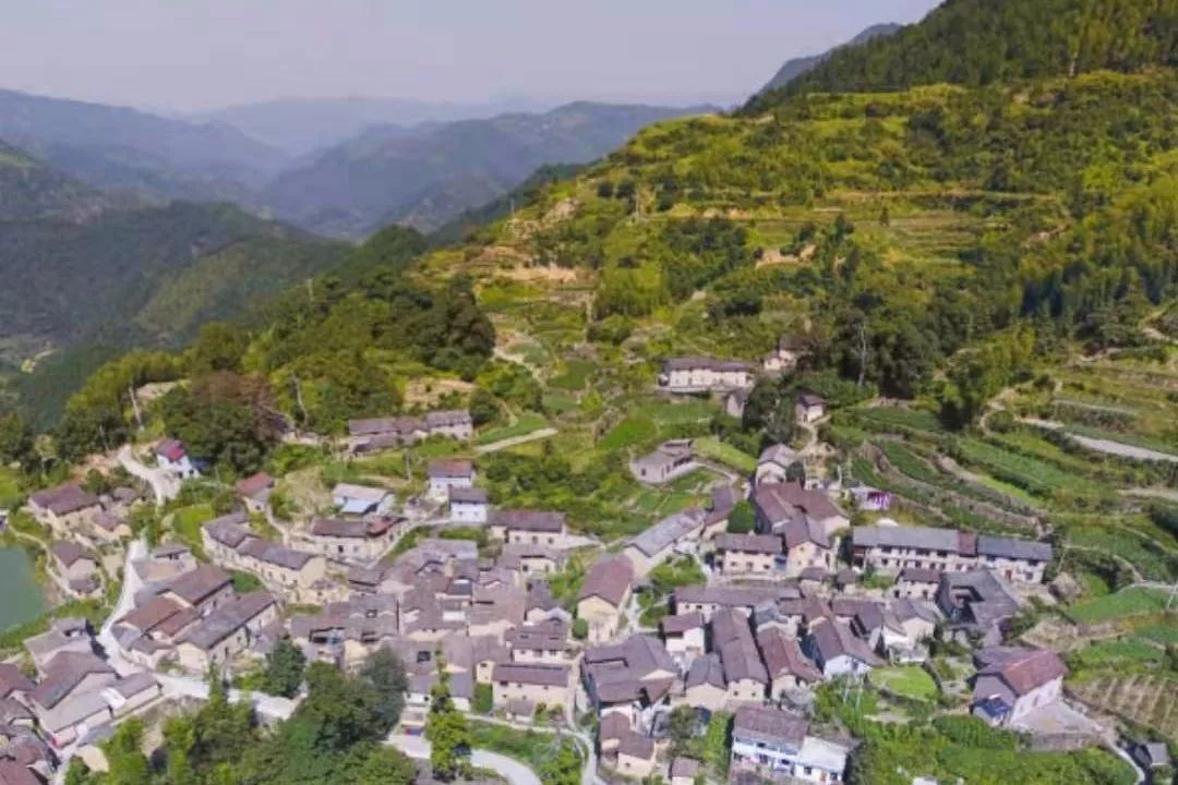 丽水松阳最好的民宿,松阳顶级民宿排名