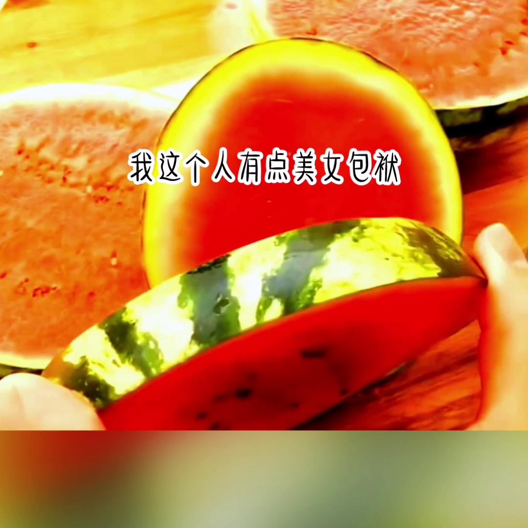 小说推荐高质量小说排行榜,小说推荐番茄小说