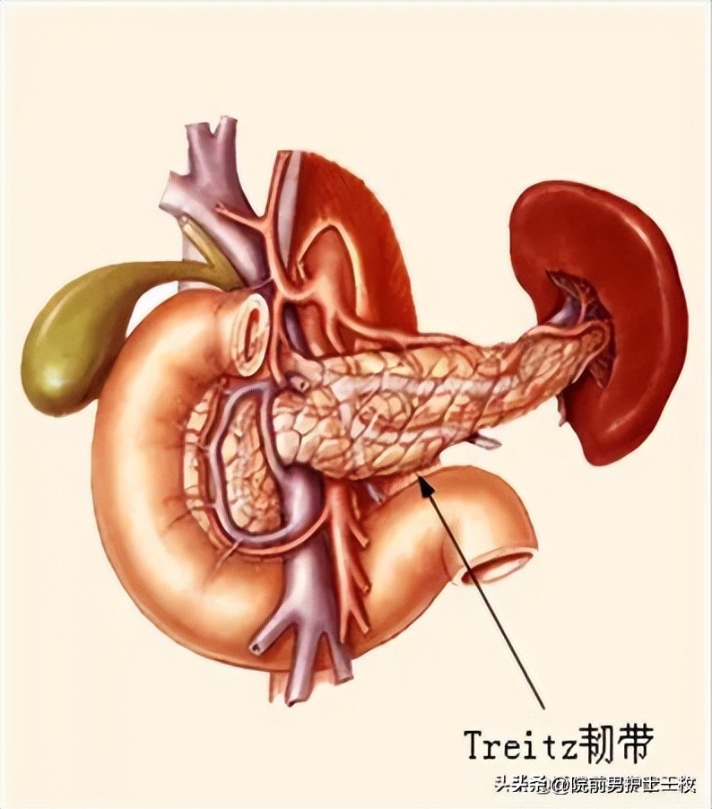 上消化道出血的病人的护理,消化道出血的原因及处理方法