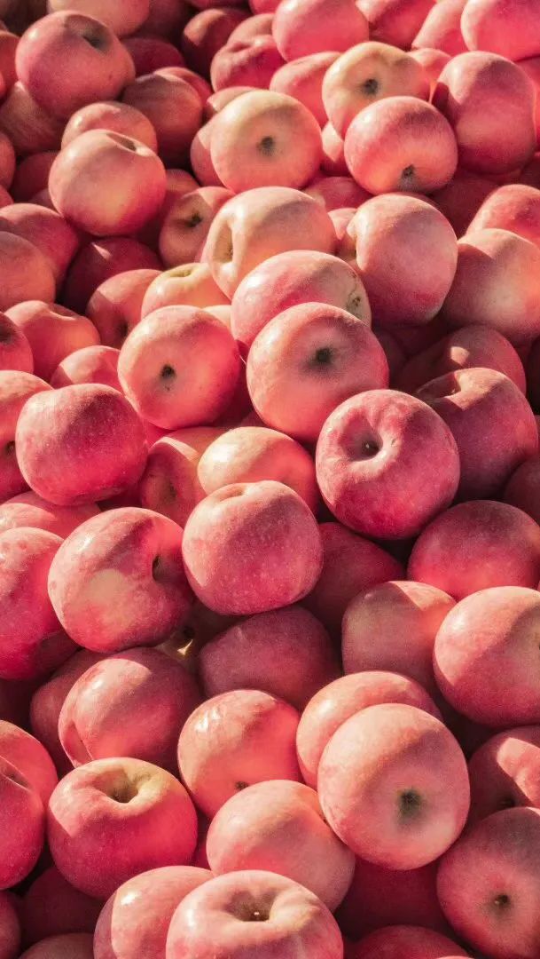 一到夏天，烟台就成了人们心心念念的消暑天堂！