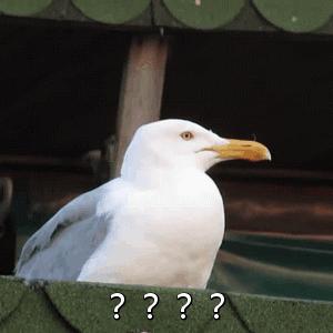 腰椎间盘突出可以半躺半坐,腰椎间盘突出躺几天就好了