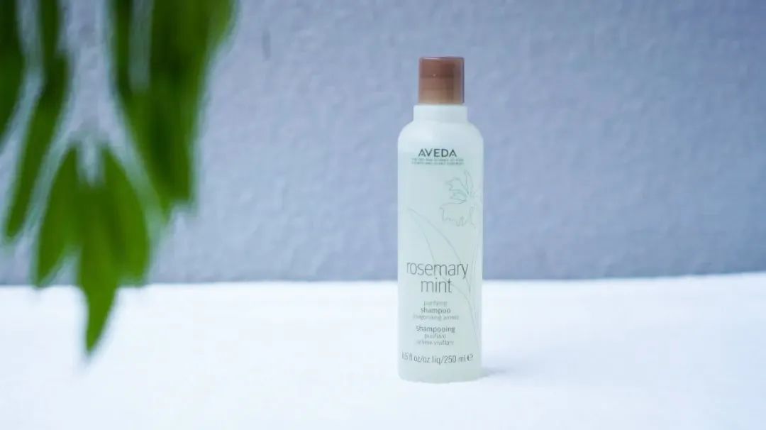 油头掉发适合的洗发水,油头发用什么洗发水好用