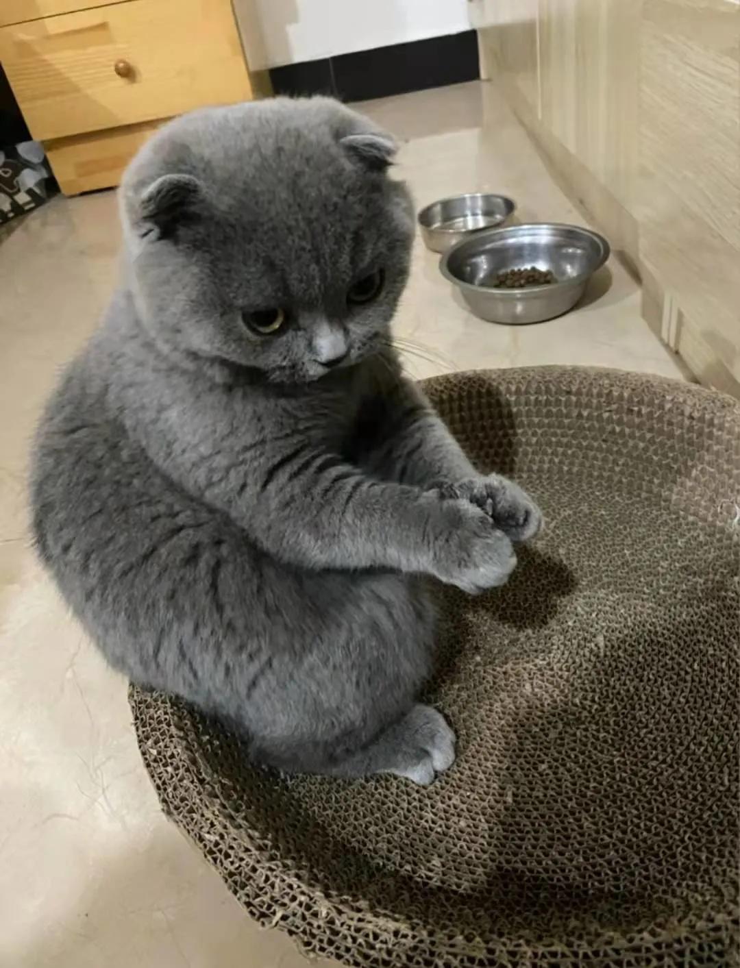 你最庆幸自己养成了什么习惯,如何让自己养成自律的习惯