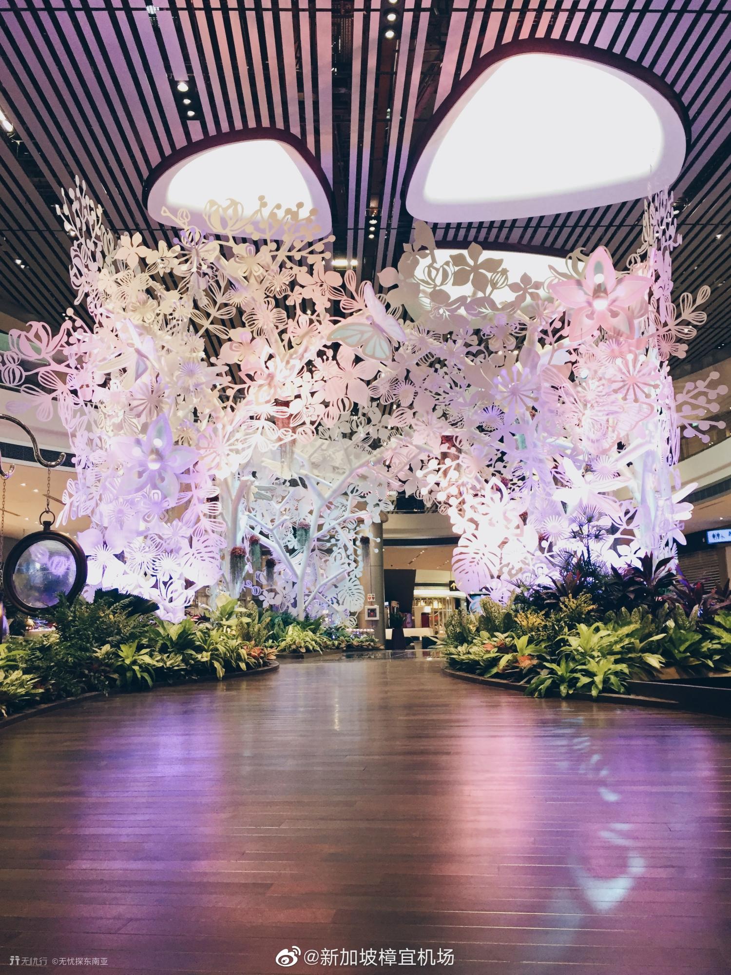 新加坡花园游玩攻略,新加坡自由行旅游指南