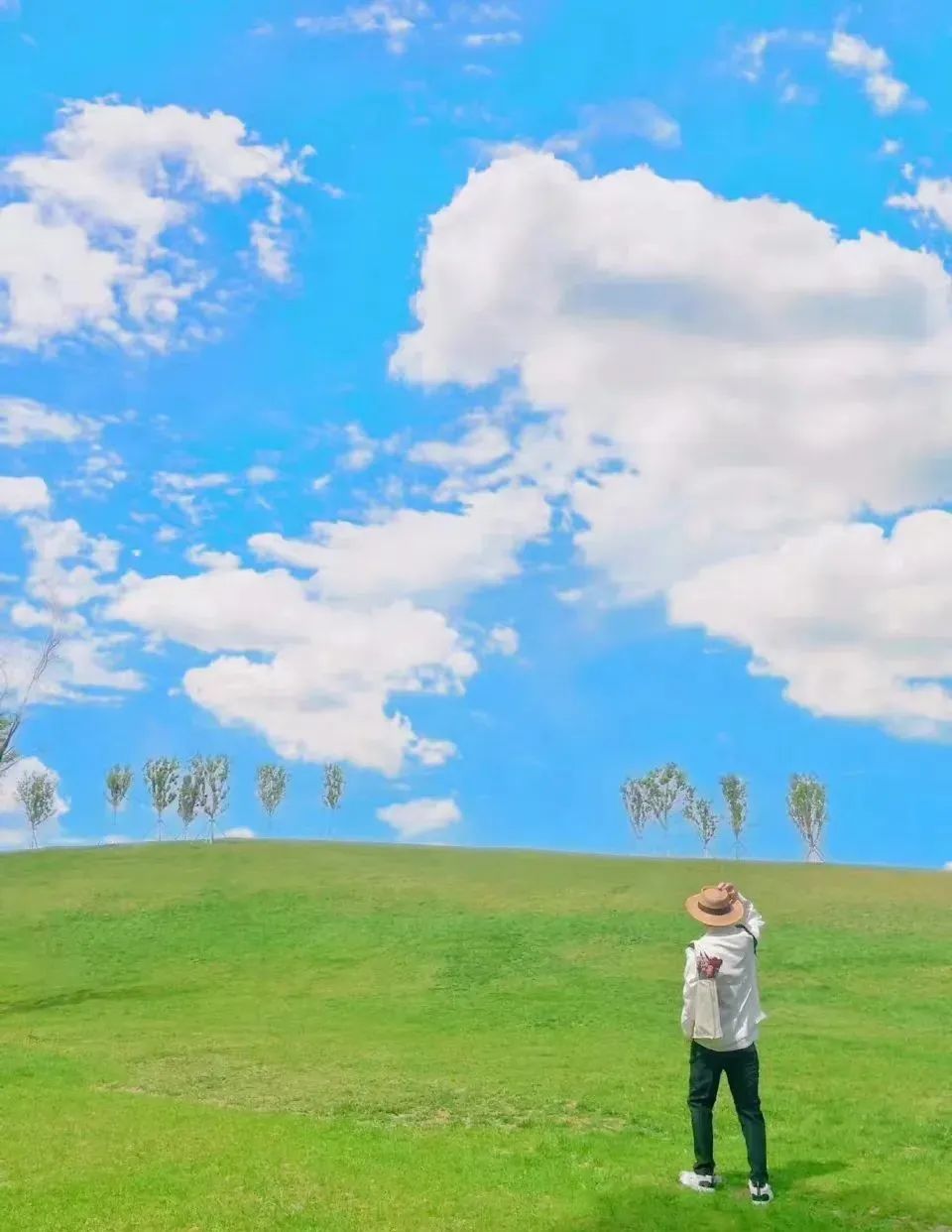 山东有海有雪有山有平原,山东有没有广阔草原