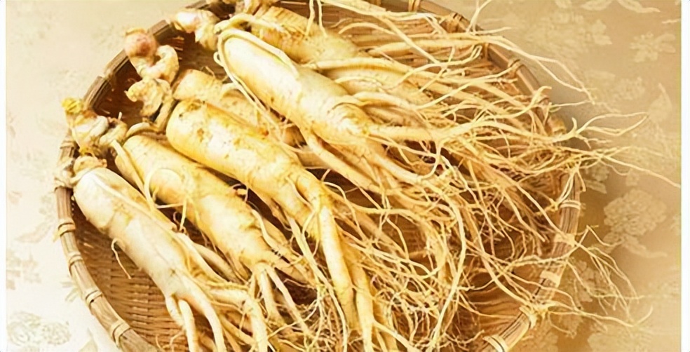 认识红参,带你认识红木