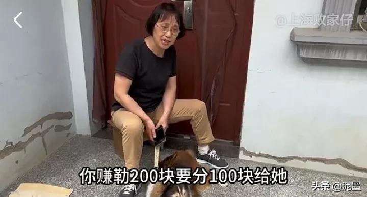 上海败家仔拿下贵州女友,上海败家仔拿下贵州女朋友