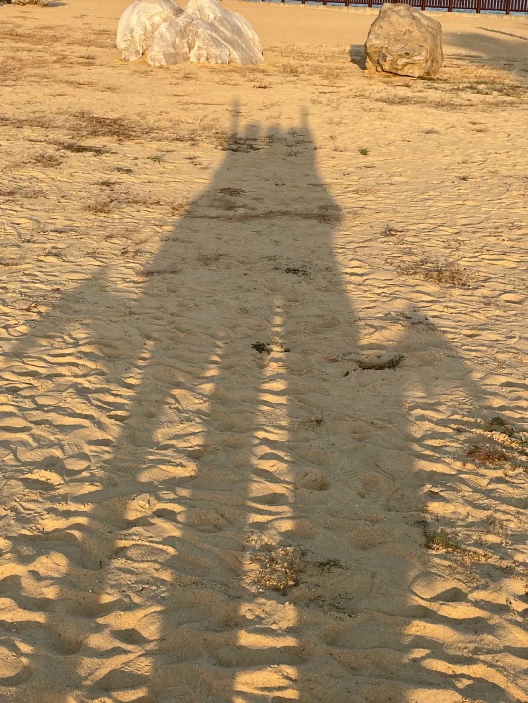 9月，谢谢你们送来的秋天