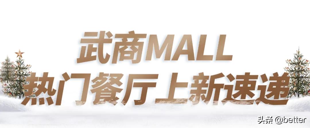 武汉武商广场圣诞,武商mall圣诞