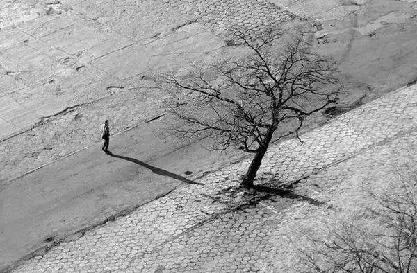 心上有个人才能活下去贾平凹,贾平凹心里有个人才能活下去图片