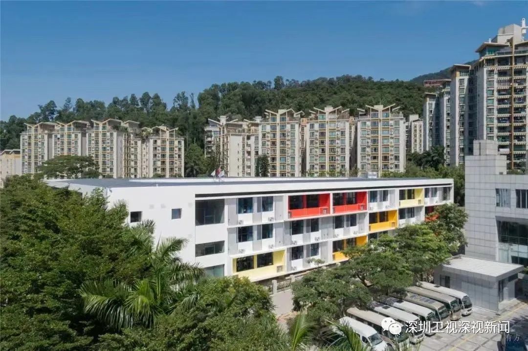 姚明与中国女篮主教练,姚明女篮队长