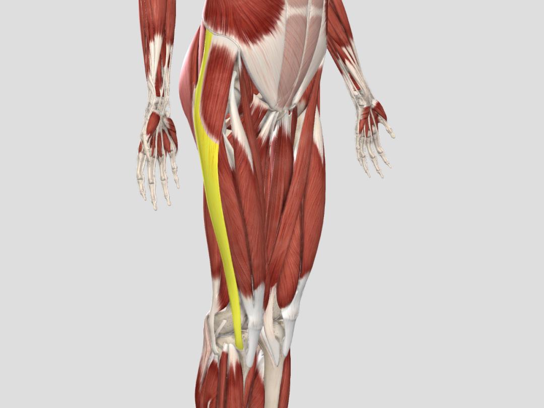 刘畊宏的毽子操不是一般人能练的,刘畊宏毽子操有风险吗