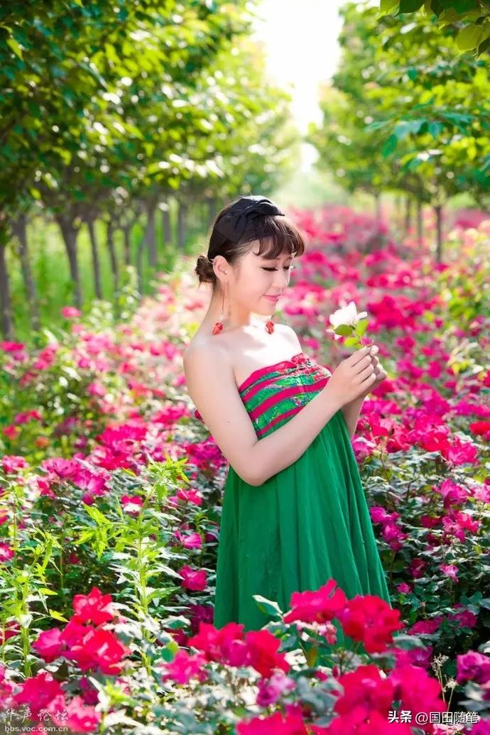 五月的玫瑰小说,五月的玫瑰情书