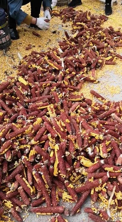 京东网购大件退货要承担运费吗,网购大件商品退货自己承担