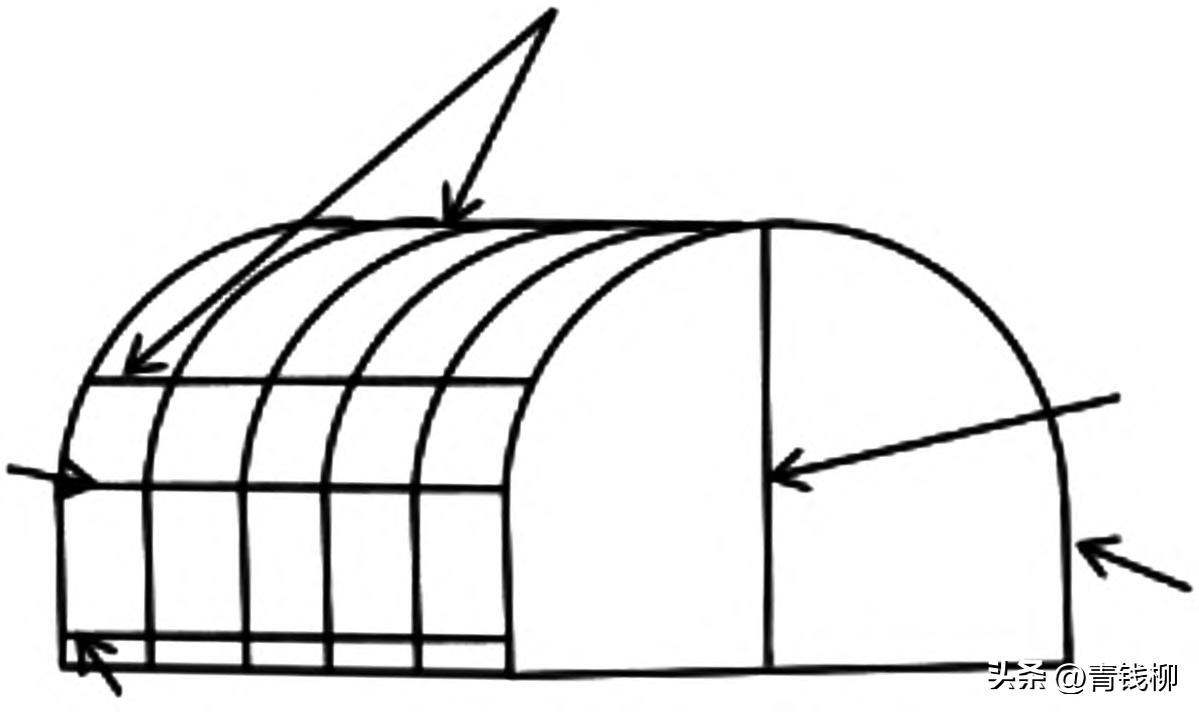 安徽霍山石斛怎么样种植,福建珍稀的霍山石斛种植方法