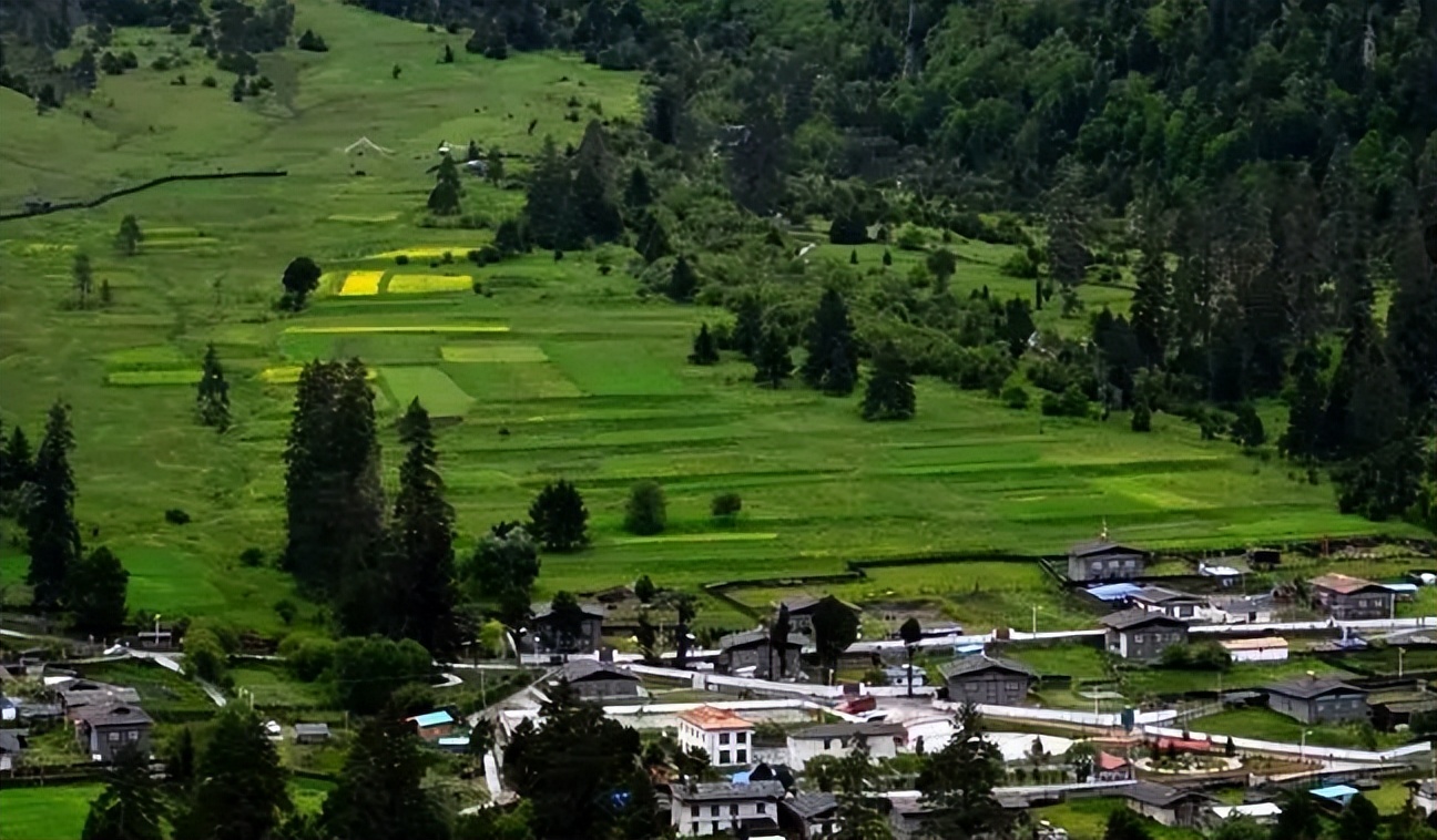 朗县辣椒生产,乡村振兴战略辣椒产业链