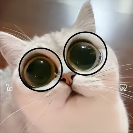 绁炵粡缃戠粶瀛︿範,绁炵粡缃戠粶妯″瀷鏁板寤烘ā