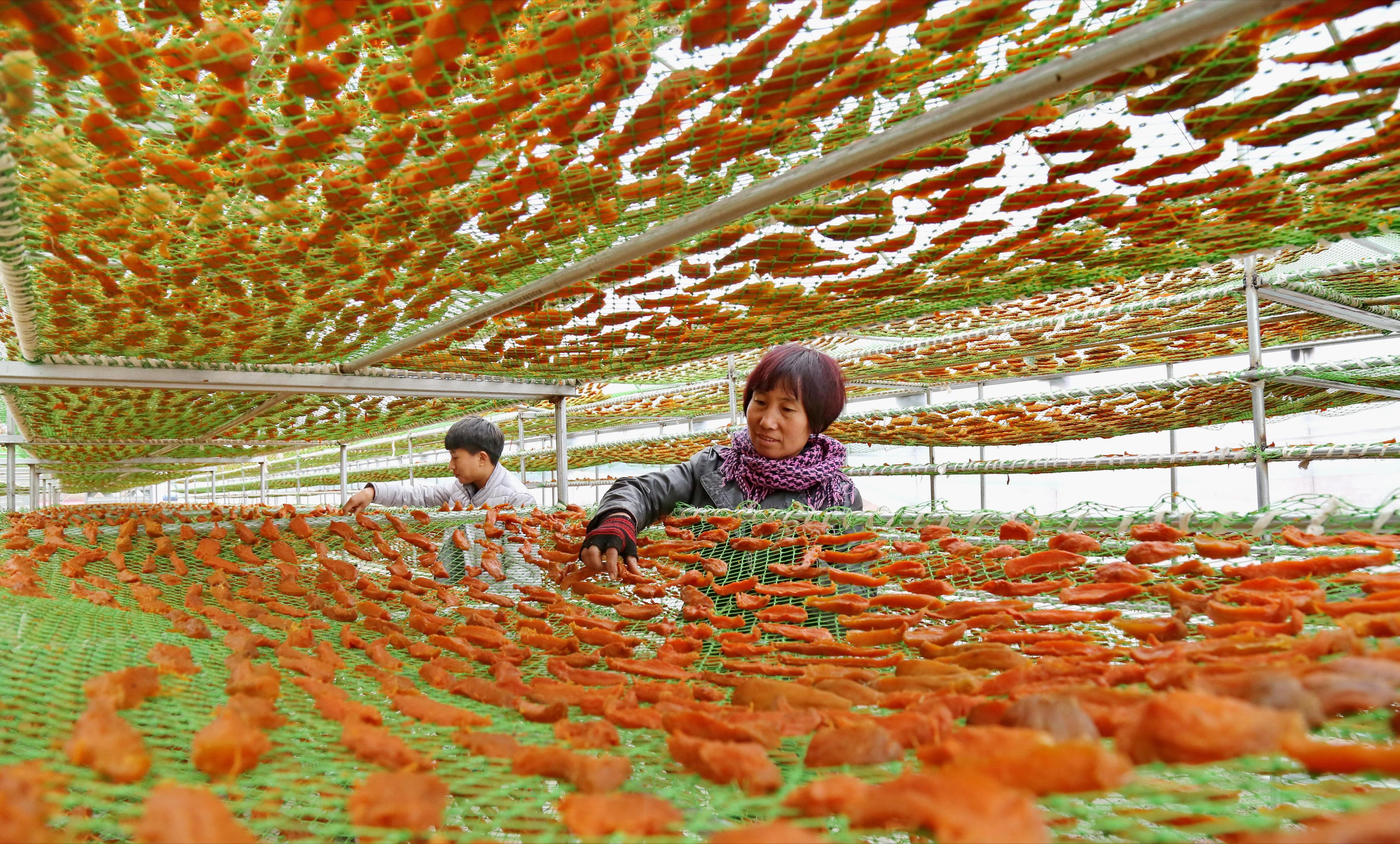 植保黑科技助力绿色农业,栽培技术植保技术决定农产品质量