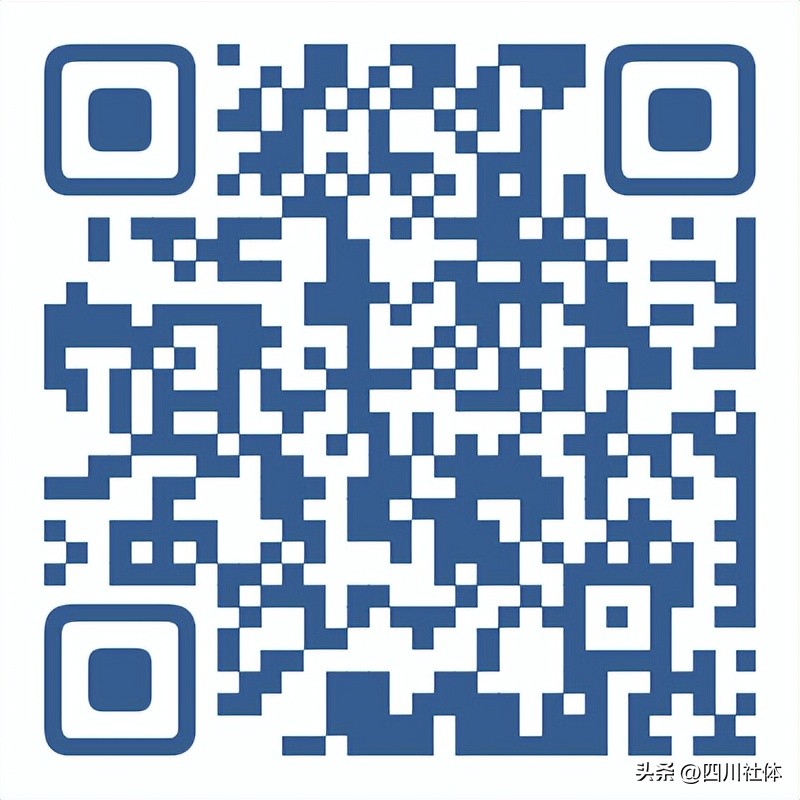 第三届川籍农民工运动会象棋比赛,第四届农民工运动会