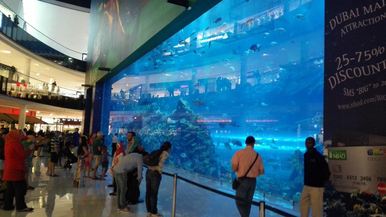 走进大凉山纪录片 (走进阿联酋迪拜)