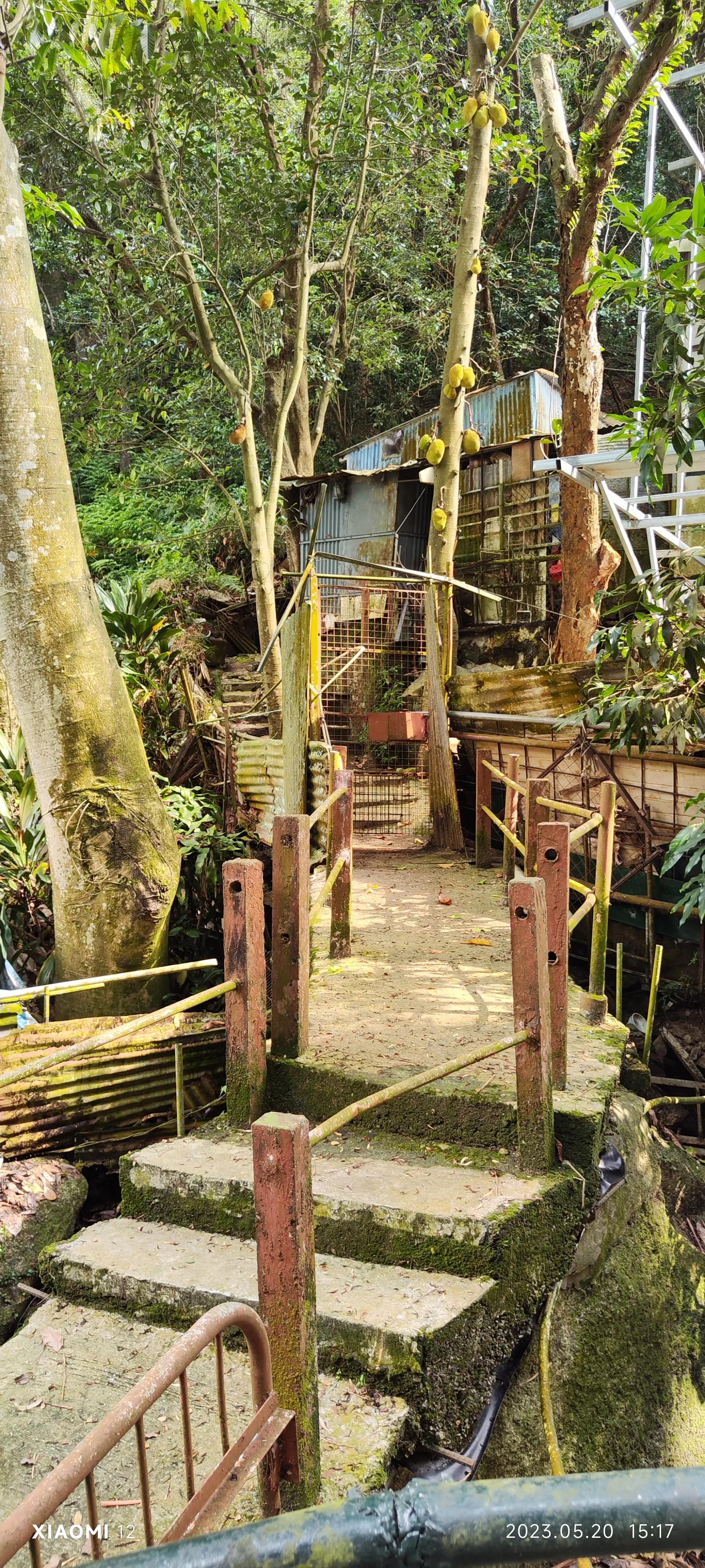 香港大围自由行，重点关注了药品、肉菜以及免税店里香烟的行情