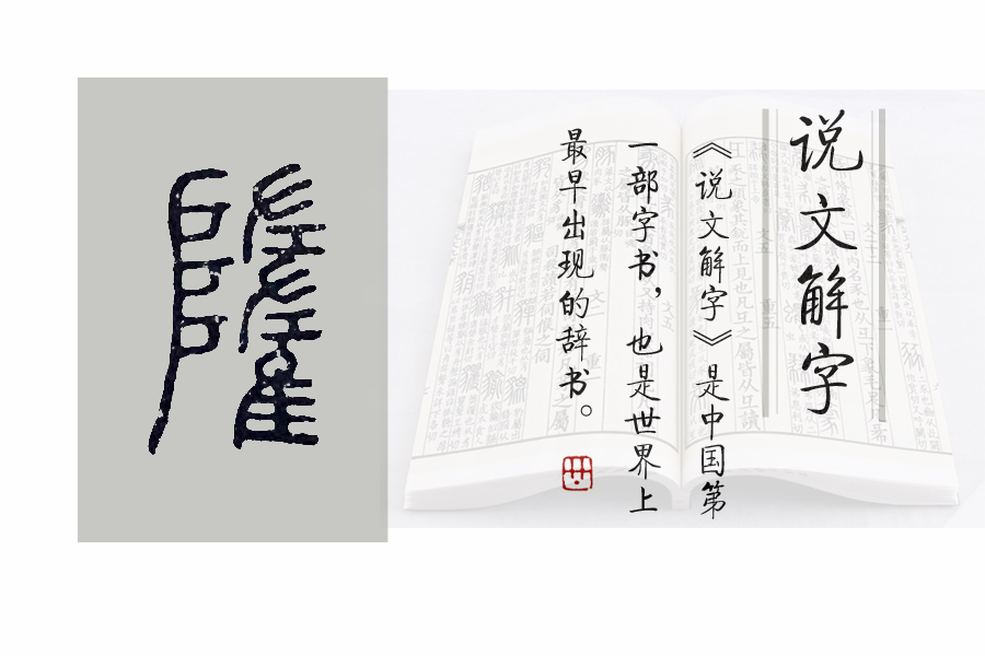 说文解字第602课,说文解字第534课