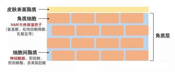 皮肤干燥刺痛用什么护肤品,脱皮刺痛泛红用什么护肤品