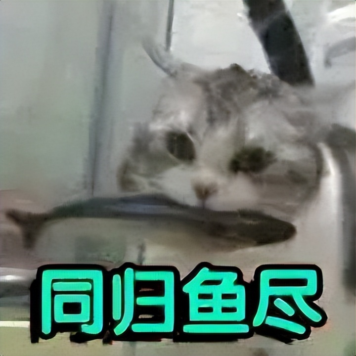 微信的那些好玩的隐藏功能,吐槽微信沙雕功能