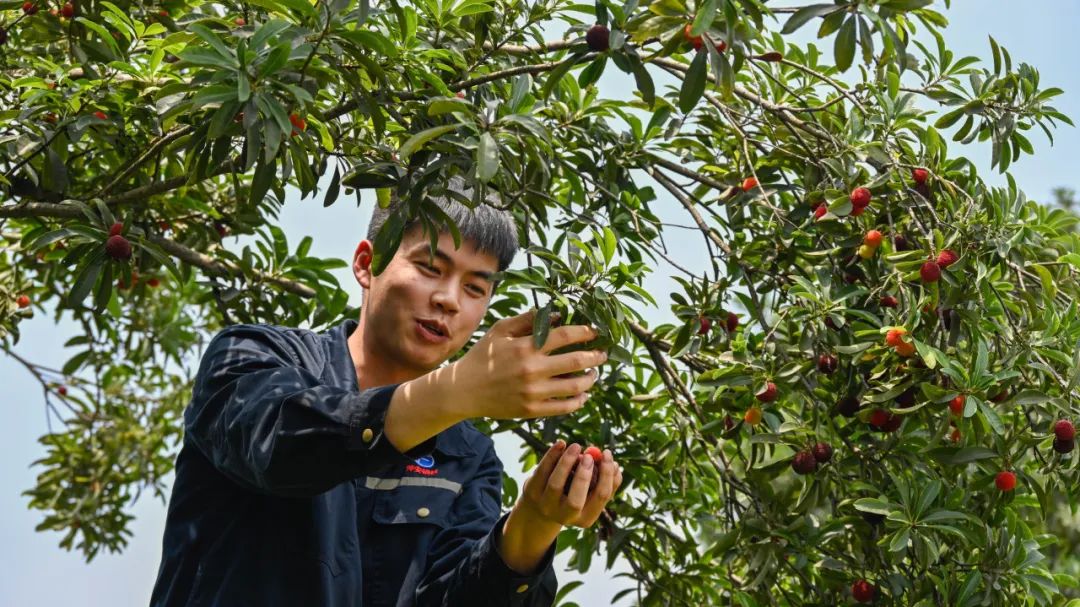 全国生态环境日主题,全国生态日绿水青山就是金山银山