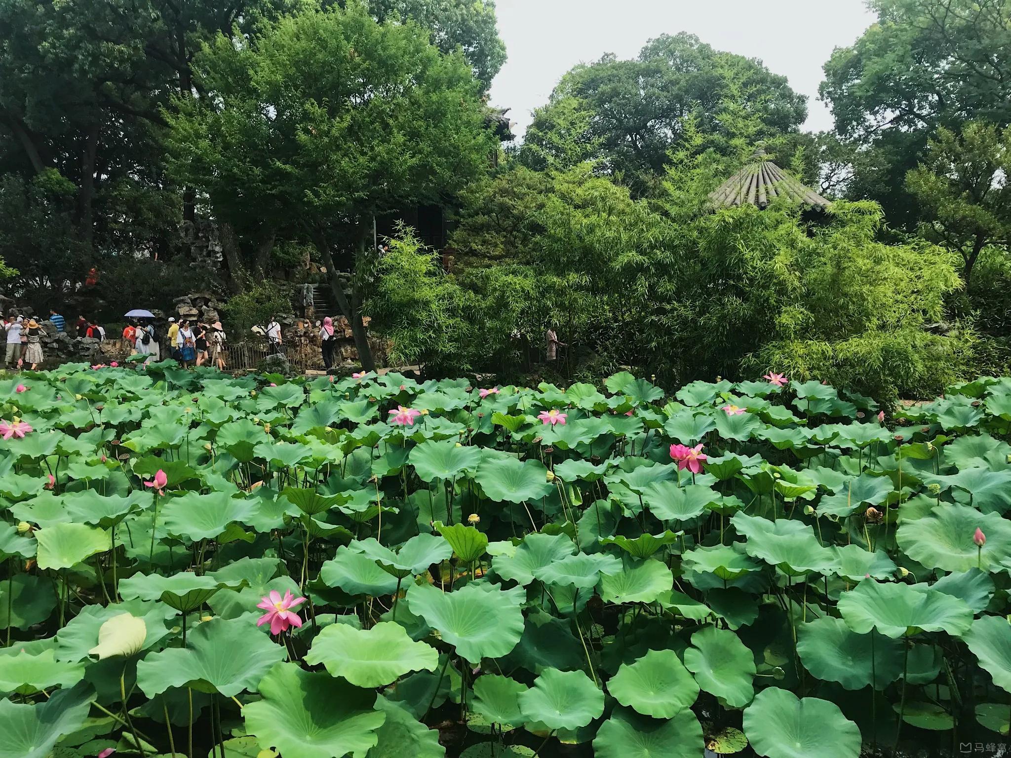 苏州吴江区免费景点排行榜前十名,苏州夜间必玩十个景点